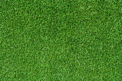 Lush Green Sod