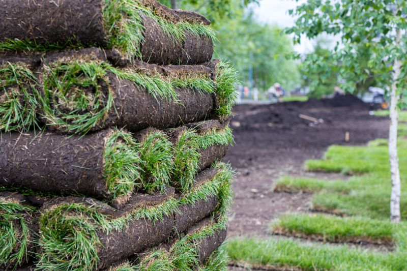 Sod Landscaping